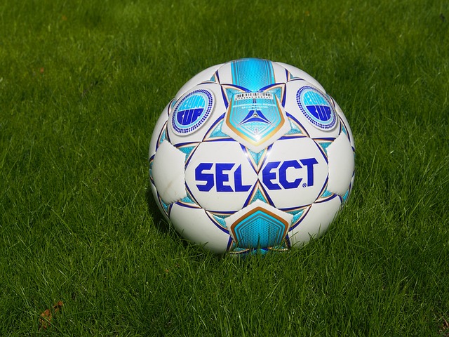 卫布拉德利 卫布拉德利