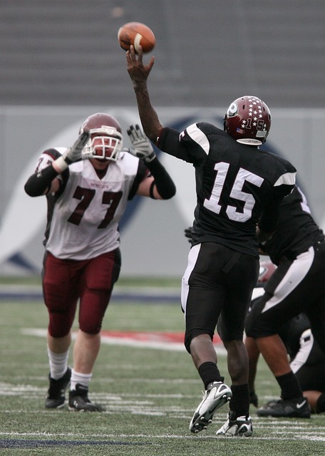 与新秀的经 与新秀的经