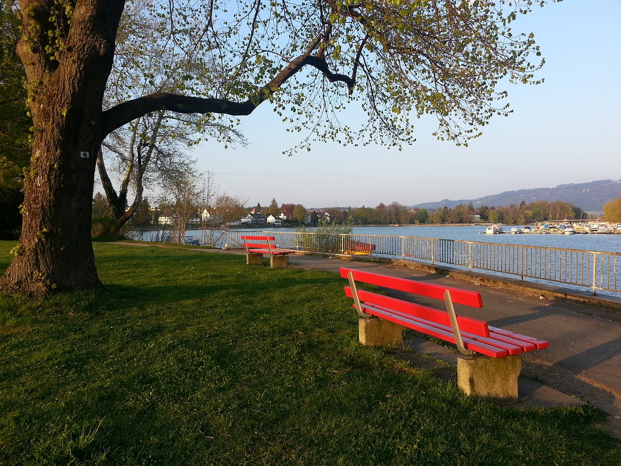 这支冉冉升 这支冉冉升