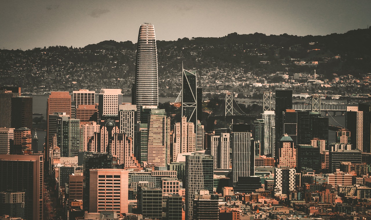 一部分粉丝 一部分粉丝