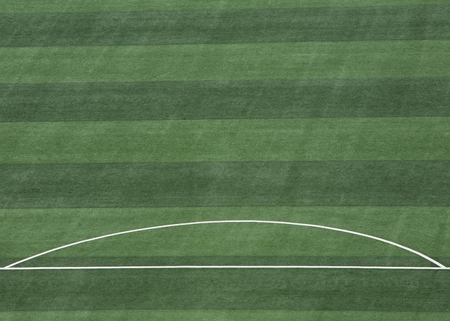 的比分赢得 的比分赢得